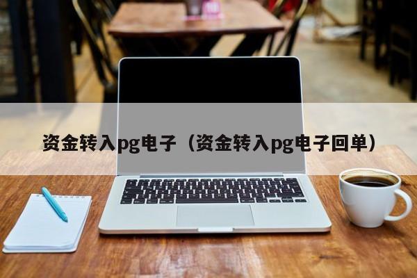 资金转入pg电子(资金转入pg电子回单)